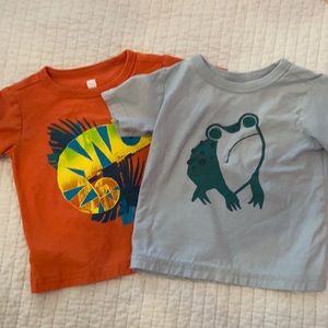 Tea collection SZ 12-18 months